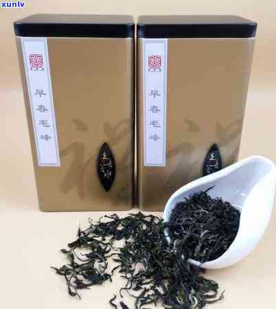 掌握泡普洱生茶的水和量，品味茶香醇厚的人生