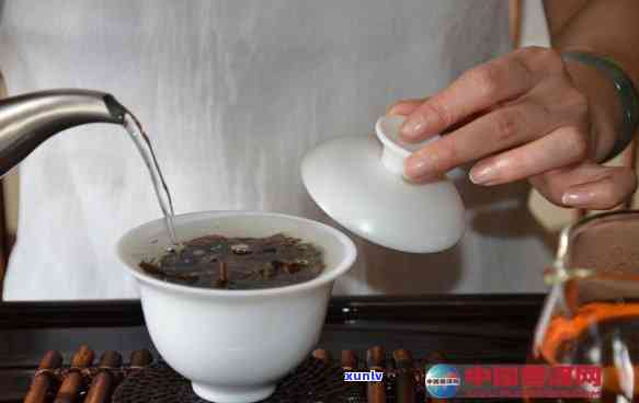 探究普洱生茶沏茶水：全面提升品饮体验