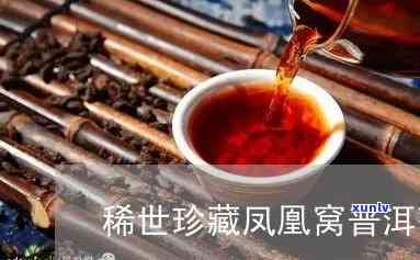 揭秘普洱茶凤凰窝：珍稀茶饮的传奇之源