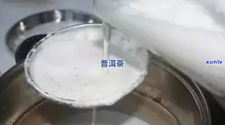 普洱茶生茶泡出白色粉末现象探析