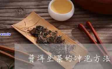 普洱生茶泡法的步骤与历背景