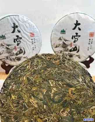 探究大雪山普洱茶的品质特色与口感体验