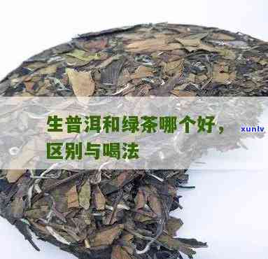 普洱生茶与绿茶功效差异解析