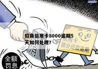 解决招行信用卡8000元逾期问题的 *** 