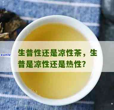 普洱生茶的性质：凉性还是热性？