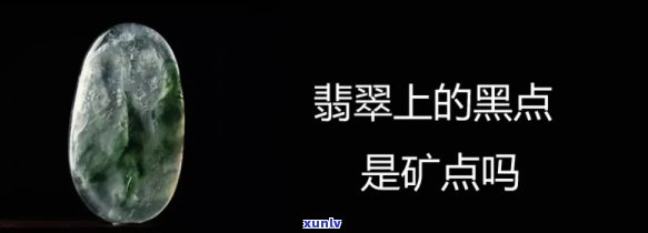 黑绿翡翠白色斑点是什么品种原因东西