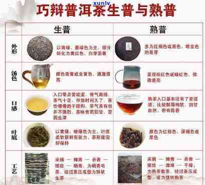 探究普洱生茶苦涩之源：成分、工艺与存的影响