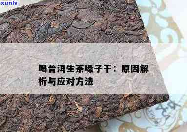 普洱生茶可能导致喉咙干燥，探究其原因与解决方案