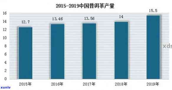 探究十年普洱生茶的市场价值及其投资潜力