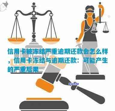 信用卡逾期冻结资产流程详解：应对措及法律后果