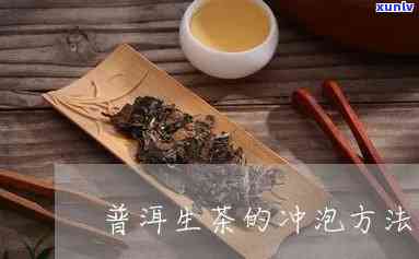 普洱生茶的冲泡步骤