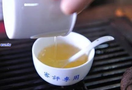 普洱生茶评审的步骤是什么：意涵解析