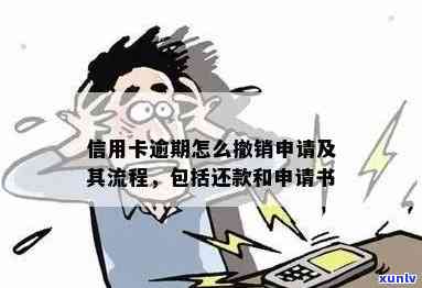 信用卡逾期律师怎么收费