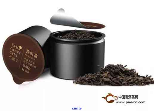 小罐茶普洱茶：价格与品鉴指南