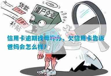 解决信用卡逾期问题，寻求母帮助是否有效？