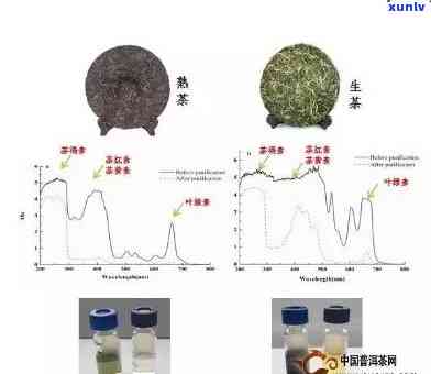 探究普洱熟茶中鞣酸含量及其饮用安全性