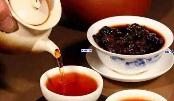 普洱茶生茶与熟茶哪个更适合您：风味、功效与饮用指南