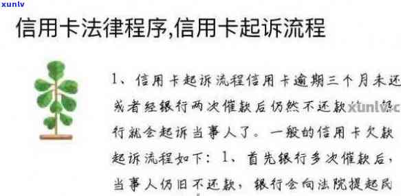 详解信用卡欠款起诉时间：了解银行诉讼流程，维护自身权益