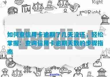 详解如何查询信用卡逾期天数：轻松掌握信用状况