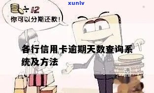 哪里看信用卡逾期天数