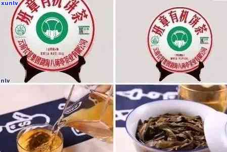 勐傣老班章茶怎么样：云南勐海老班章普洱茶评测