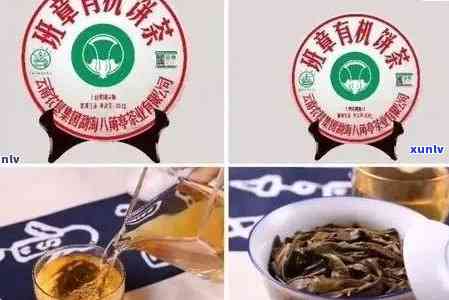 勐傣老班章普洱茶怎么样：勐海勐傣茶厂出品评测