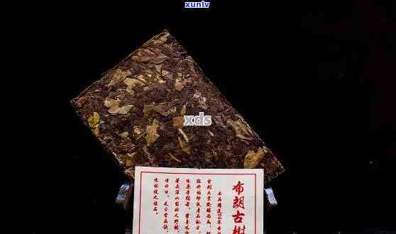 香普洱府：品味顶级普洱茶的高价值价格