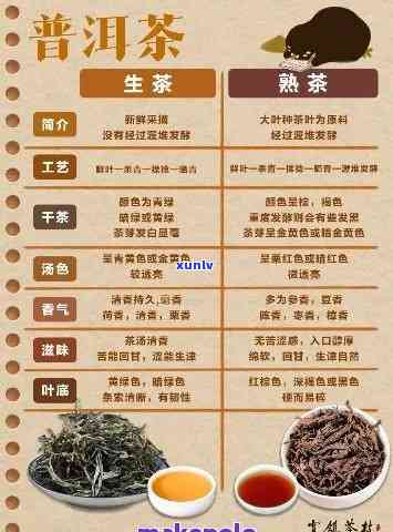 熟普洱茶等级划分与价格标准