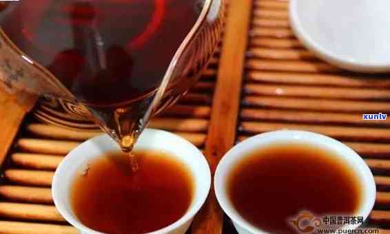 普洱熟茶泡饮指南：每次泡多少茶合适？