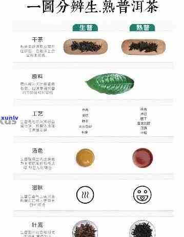 普洱茶熟茶颜色深浅对比与分类判断标准