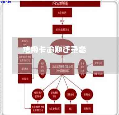 信用卡逾期还款时间录音