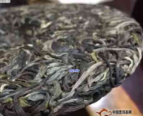 普洱熟茶如何压饼：选择包装、口感优化与散茶比较