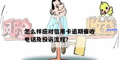 老班章混采散茶价格