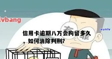 信用卡逾期：现在是否会被拘留？