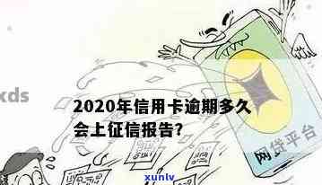 2020信用卡逾期