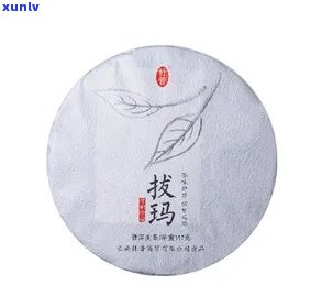 2019拔玛春茶：古树茶王品质解读与品鉴指南