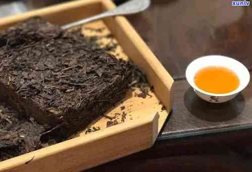 探秘普洱藏家茶：品质评鉴与口感体验