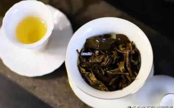 探究中茶普洱的独特风味：品质与口感解析