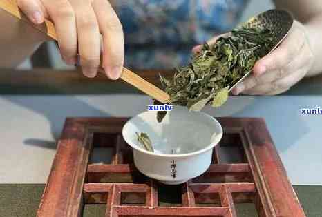 探索老班章茶冲泡技巧，尽享普洱之美