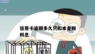 信用卡逾期最多可以几年不还利息及本金