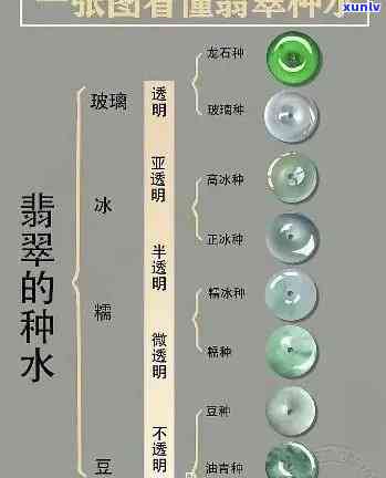 揭秘高冰翡翠：石头成分与特性全面分析