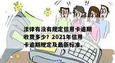 建设信用卡逾期罚金多少：2021年新法规与每日费用