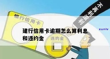 建设信用卡逾期罚金多少