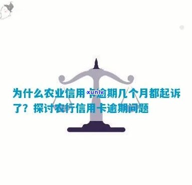 为什么农业信用卡逾期几个月都起诉了-为什么农业信用卡逾期几个月都起诉了