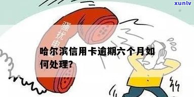 哈尔滨信用卡逾期被执行，如何应对？