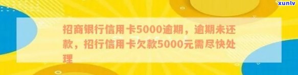 招商银行信用卡逾期5000元，逾期还款攻略来帮忙