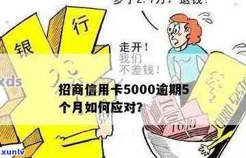 招商银行信用卡逾期5000元，逾期还款攻略来帮忙