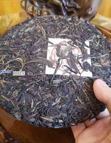 2004年普洱熟茶价格表：生茶与熟茶价格对比