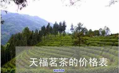 天福天美仕茶叶价格对比2021年茗茶评价与产品详情