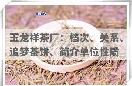 玉龙祥茶叶品质怎样，哪里有卖，是否学费茶，股份信息查询